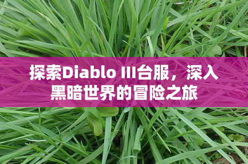 探索Diablo III台服，深入黑暗世界的冒险之旅