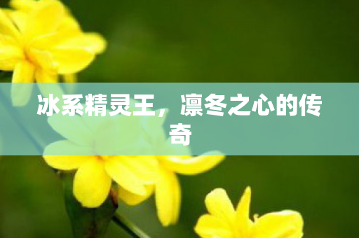 冰系精灵王,凛冬之心的传奇 冰系精灵王,凛冬之心的传奇