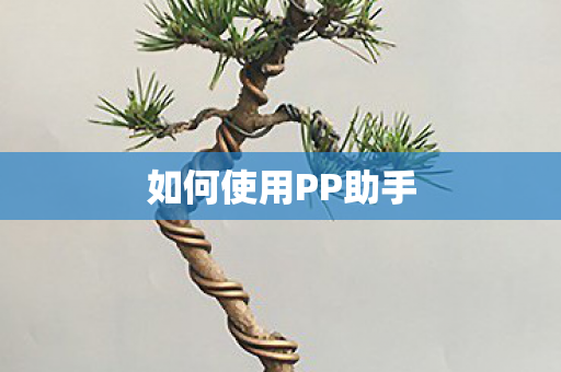 如何使用PP助手