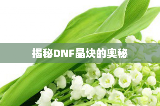 揭秘DNF晶块的奥秘