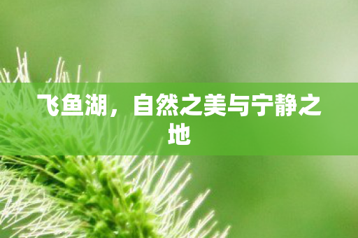 飞鱼湖,自然之美与宁静之地 飞鱼湖,自然之美与宁静之地