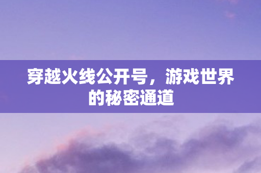 穿越火线公开号，游戏世界的秘密通道