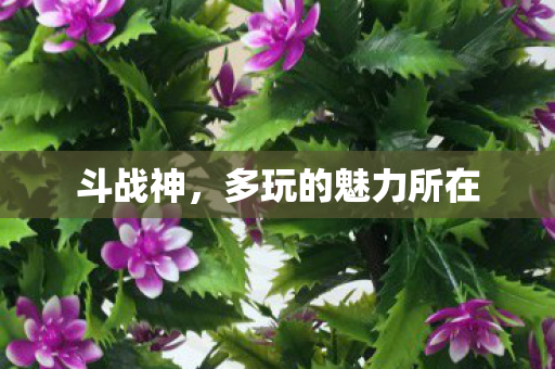 斗战神,多玩的魅力所在 斗战神,多玩的魅力所在