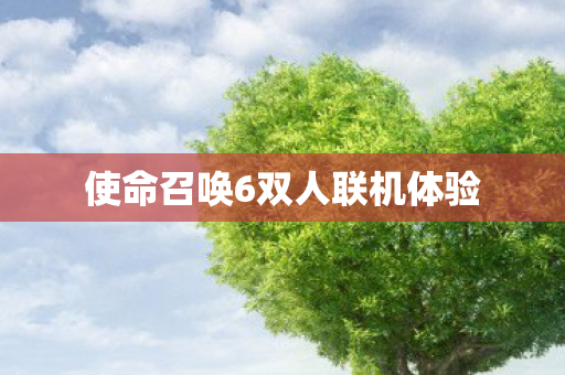 使命召唤6双人联机体验 使命召唤6双人联机体验
