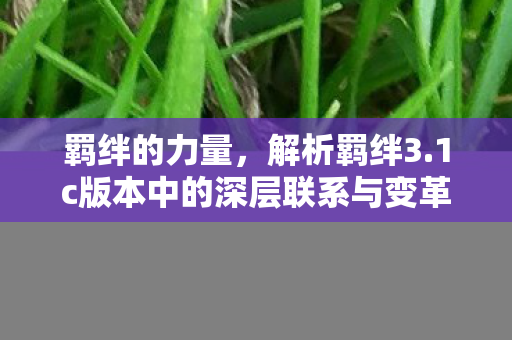 羁绊的力量,解析羁绊3.1c版本中的深层联系与变革 羁绊的力量,解析羁绊3.1c版本中的深层联系与变革
