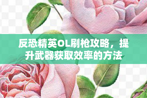 反恐精英OL刷枪攻略，提升武器获取效率的方法