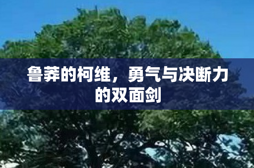 鲁莽的柯维,勇气与决断力的双面剑 鲁莽的柯维,勇气与决断力的双面剑