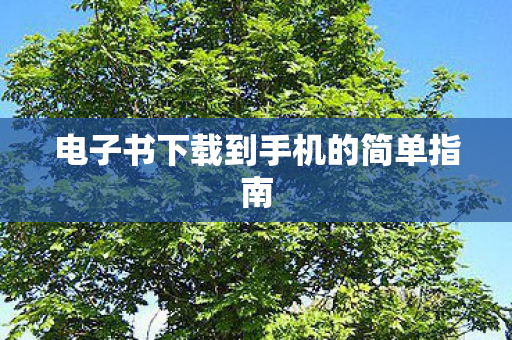 电子书下载到手机的简单指南