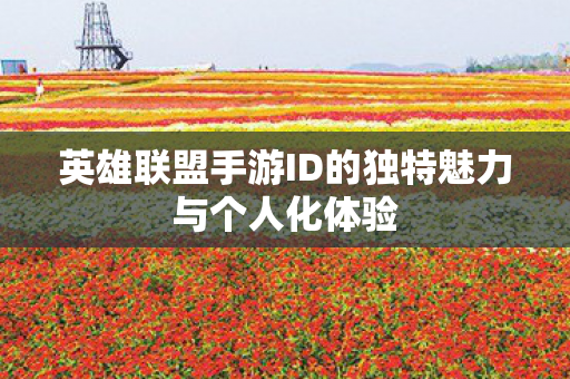 英雄联盟手游ID的独特魅力与个人化体验