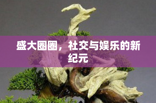 盛大圈圈，社交与娱乐的新纪元