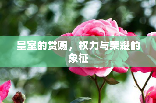 皇室的赏赐，权力与荣耀的象征