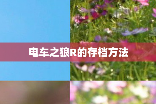 电车之狼R的存档方法 电车之狼R的存档方法