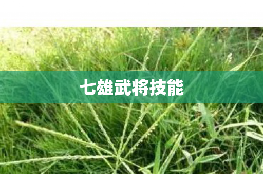 七雄武将技能