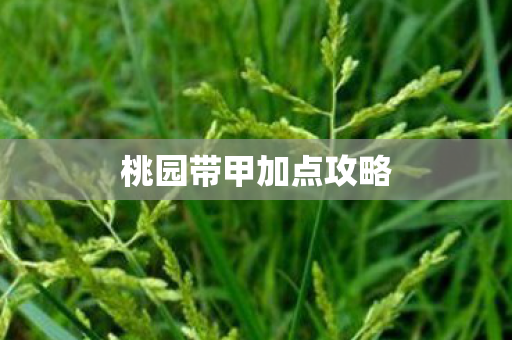 桃园带甲加点攻略 桃园带甲加点攻略