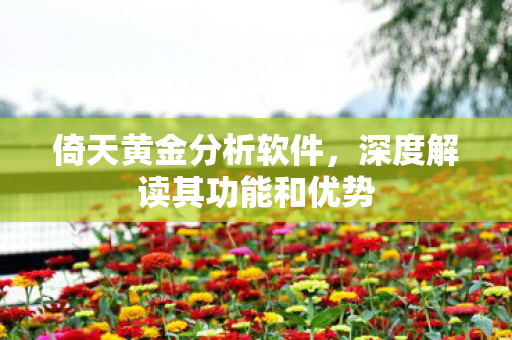 倚天黄金分析软件,深度解读其功能和优势 倚天黄金分析软件,深度解读其功能和优势