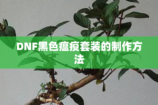 DNF黑色瘟疫套装的制作方法 DNF黑色瘟疫套装的制作方法