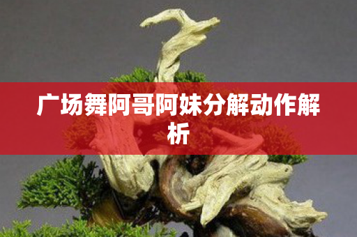 广场舞阿哥阿妹分解动作解析