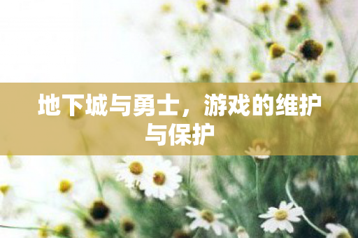 地下城与勇士，游戏的维护与保护