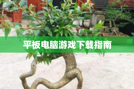 平板电脑游戏下载指南 平板电脑游戏下载指南