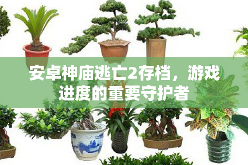 安卓神庙逃亡2存档，游戏进度的重要守护者