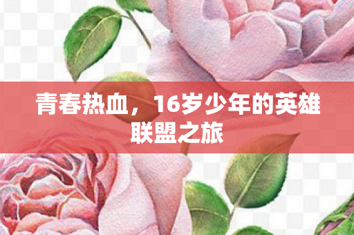 青春热血,16岁少年的英雄联盟之旅 青春热血,16岁少年的英雄联盟之旅