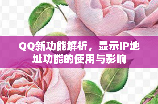 QQ新功能解析,显示IP地址功能的使用与影响 QQ新功能解析,显示IP地址功能的使用与影响