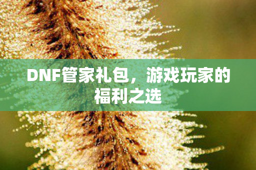 DNF管家礼包,游戏玩家的福利之选 DNF管家礼包,游戏玩家的福利之选