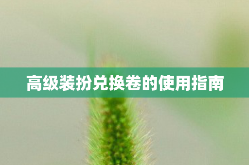 高级装扮兑换卷的使用指南