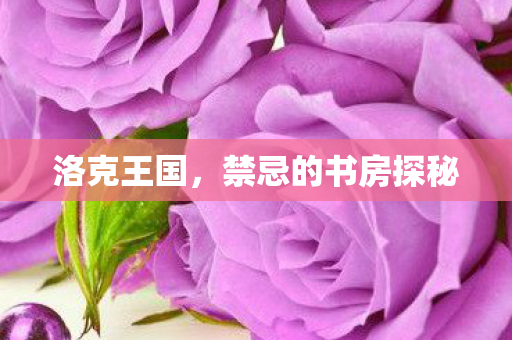 洛克王国,禁忌的书房探秘 洛克王国,禁忌的书房探秘