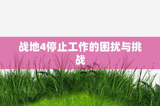 战地4停止工作的困扰与挑战