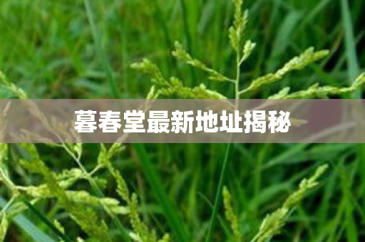 暮春堂最新地址揭秘 暮春堂最新地址揭秘