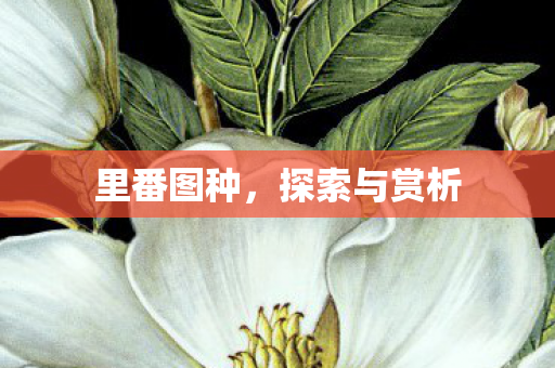 里番图种,探索与赏析 里番图种,探索与赏析