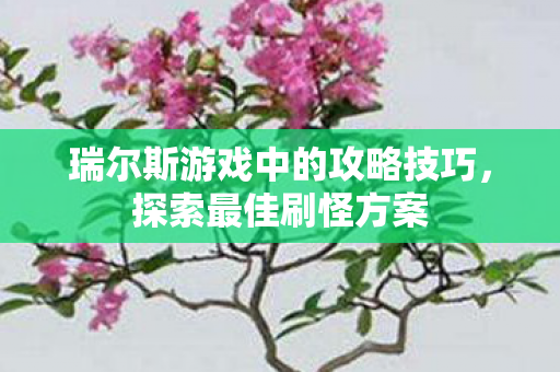 瑞尔斯游戏中的攻略技巧,探索最佳刷怪方案 瑞尔斯游戏中的攻略技巧,探索最佳刷怪方案