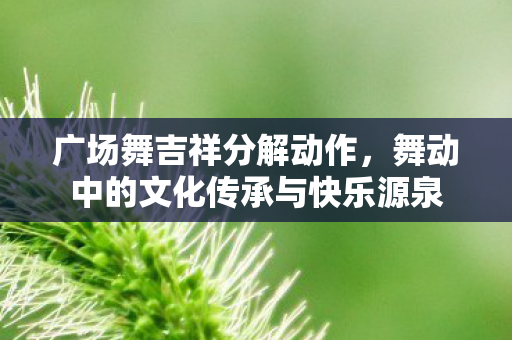 广场舞吉祥分解动作,舞动中的文化传承与快乐源泉 广场舞吉祥分解动作,舞动中的文化传承与快乐源泉