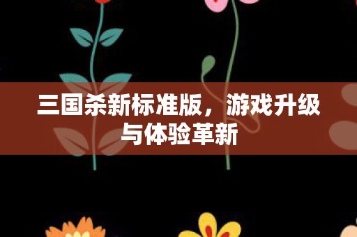 三国杀新标准版,游戏升级与体验革新 三国杀新标准版,游戏升级与体验革新