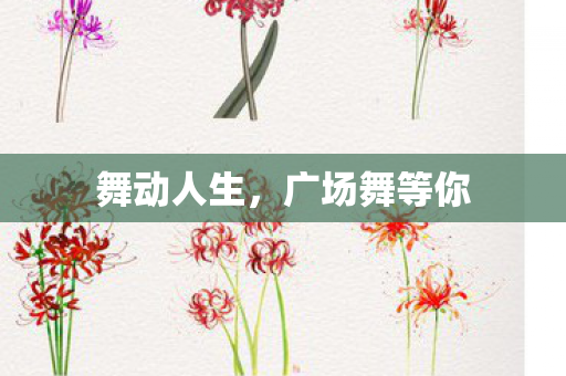 舞动人生,广场舞等你 舞动人生,广场舞等你