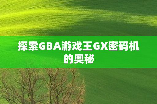 探索GBA游戏王GX密码机的奥秘 探索GBA游戏王GX密码机的奥秘