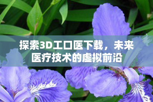 探索3D工口医下载,未来医疗技术的虚拟前沿 探索3D工口医下载,未来医疗技术的虚拟前沿