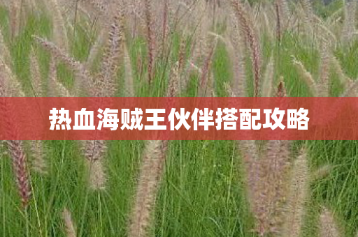 热血海贼王伙伴搭配攻略 热血海贼王伙伴搭配攻略