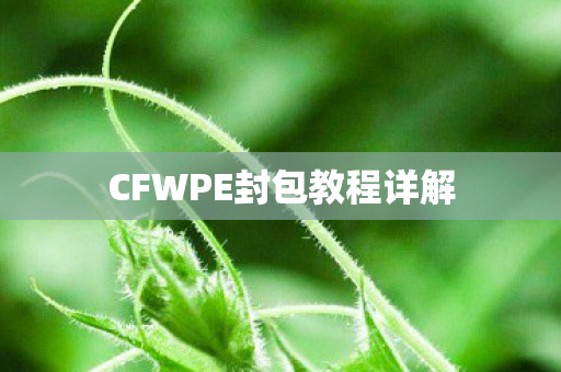 CFWPE封包教程详解 CFWPE封包教程详解