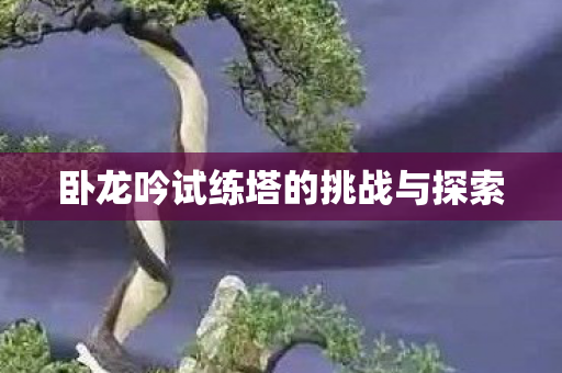卧龙吟试练塔的挑战与探索