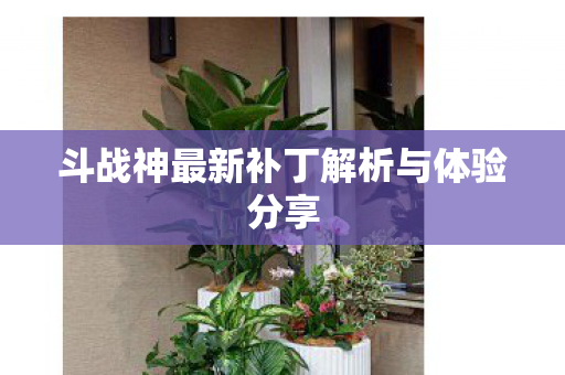 斗战神最新补丁解析与体验分享 斗战神最新补丁解析与体验分享
