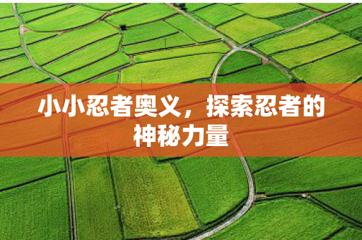 小小忍者奥义,探索忍者的神秘力量 小小忍者奥义,探索忍者的神秘力量