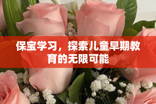 保宝学习,探索儿童早期教育的无限可能 保宝学习,探索儿童早期教育的无限可能