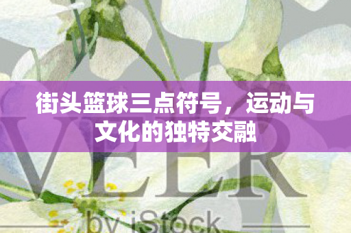 街头篮球三点符号,运动与文化的独特交融 街头篮球三点符号,运动与文化的独特交融
