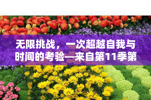 无限挑战,一次超越自我与时间的考验—来自第11季第10期的挑战之旅 无限挑战,一次超越自我与时间的考验—来自第11季第10期的挑战之旅