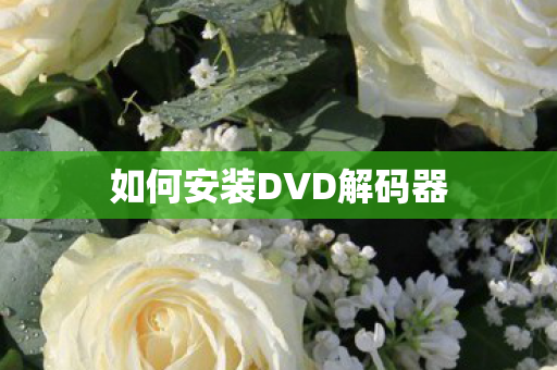 如何安装DVD解码器