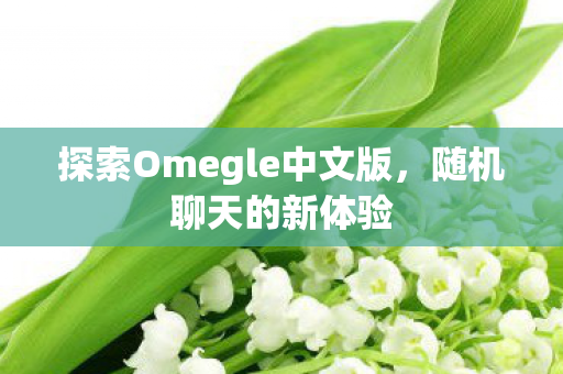 探索Omegle中文版,随机聊天的新体验 探索Omegle中文版,随机聊天的新体验