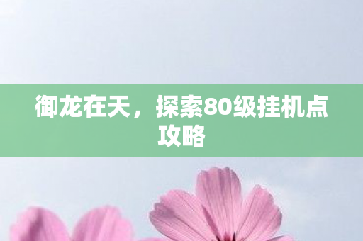 御龙在天,探索80级挂机点攻略 御龙在天,探索80级挂机点攻略