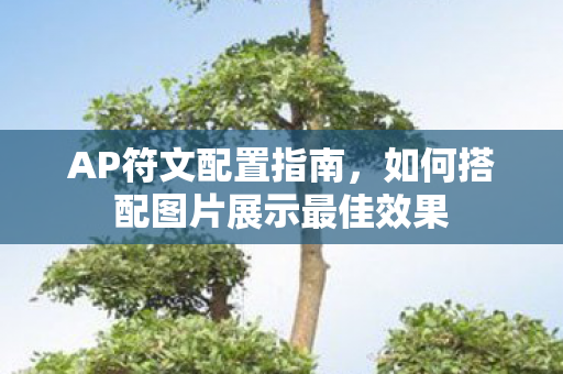 AP符文配置指南,如何搭配图片展示最佳效果 AP符文配置指南,如何搭配图片展示最佳效果